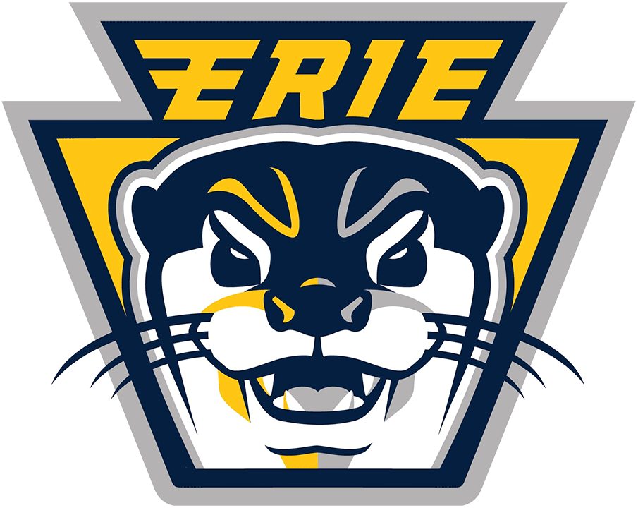 Erie Otters 2019-Pres Alternate Logo iron on transfers for clothing